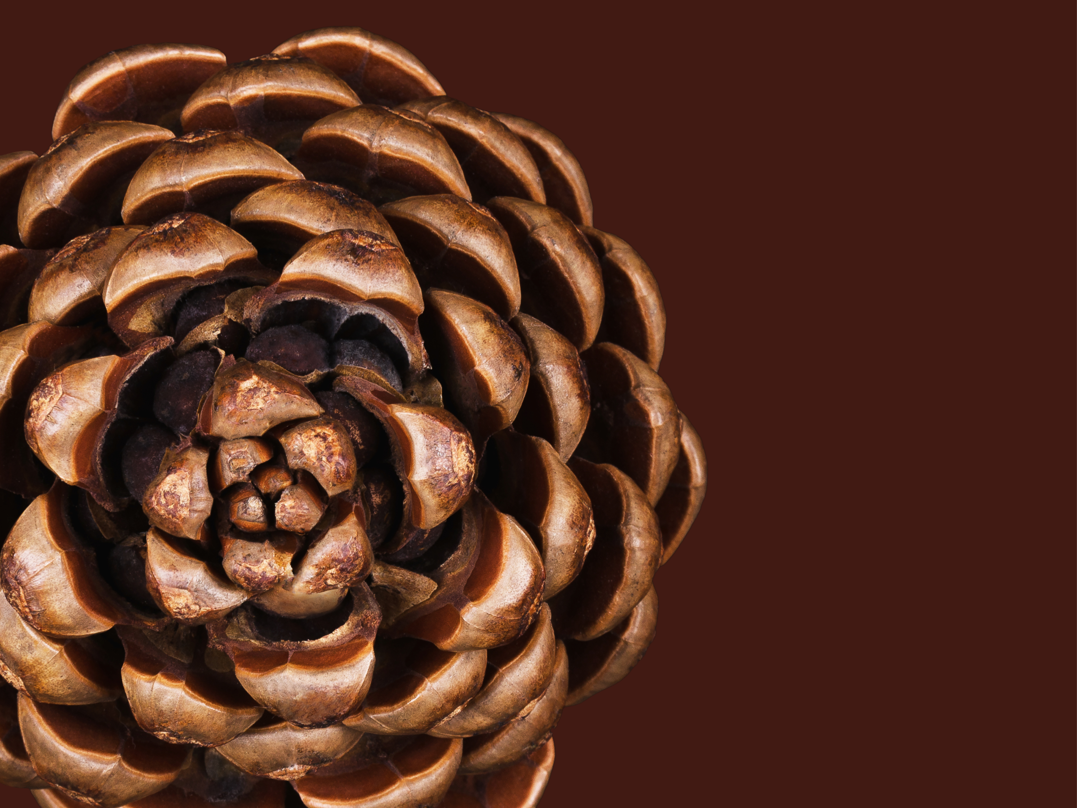 Capatect System Design