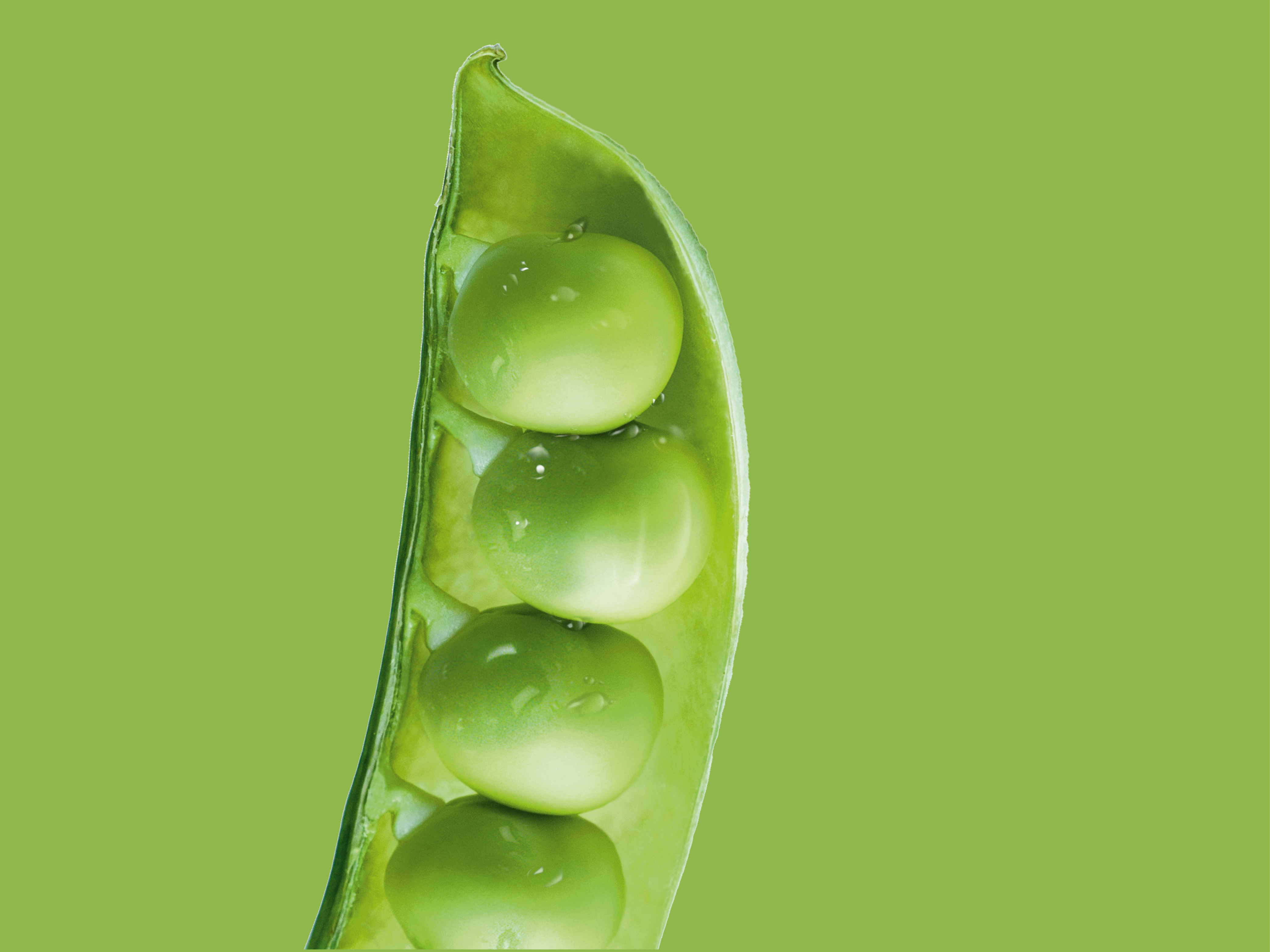 Capatect System Economy