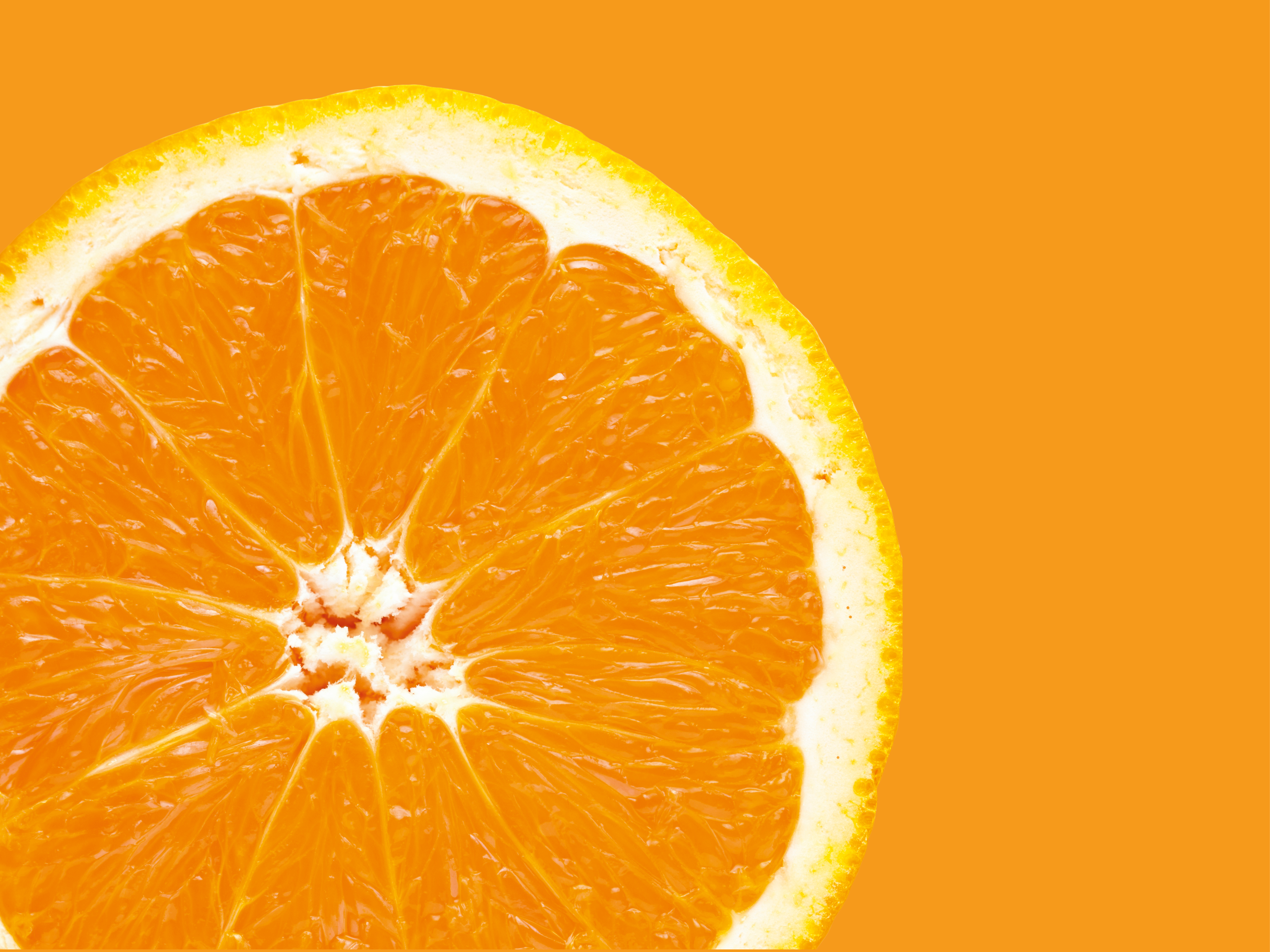 Capatect System Performance